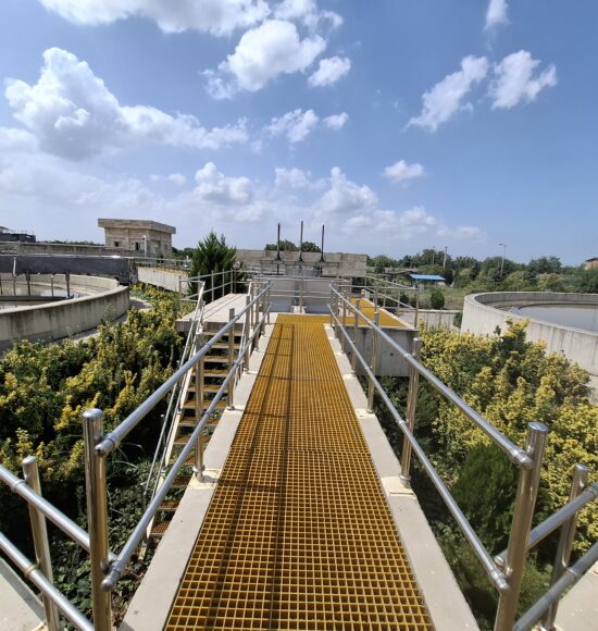 ساری