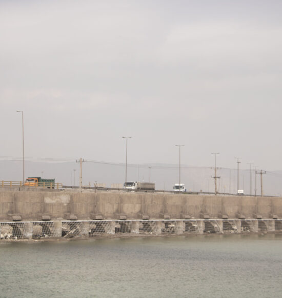 شهید رجایی